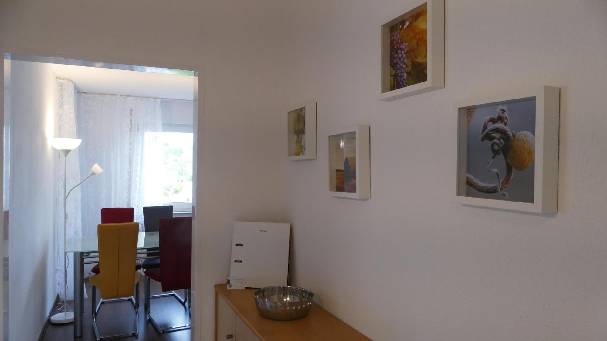 Guest Apartment Niederalfingen Huttlingen Eksteriør billede
